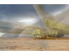 Новый отель в пустыне Гоби будет работать от солнечной энергии и ветровых турбин